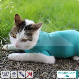 Cat bodysuit | recovery suit + wound protection specially developed for cats | VetMedCare® 20 Cat Bodysuit | Cat body + wound protection specially developed for cats | VetMedCare®