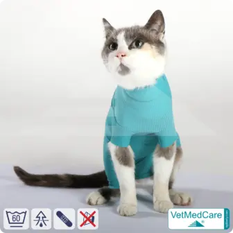 Cat Bodysuit | Cat body + wound protection specially developed for cats | VetMedCare®