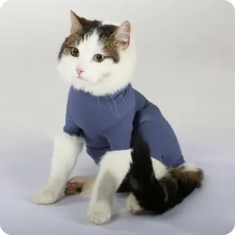 Cats + small animals