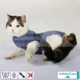 Cat bodysuit | recovery suit + wound protection specially developed for cats | VetMedCare® 15 Cat Bodysuit | Cat body + wound protection specially developed for cats | VetMedCare®