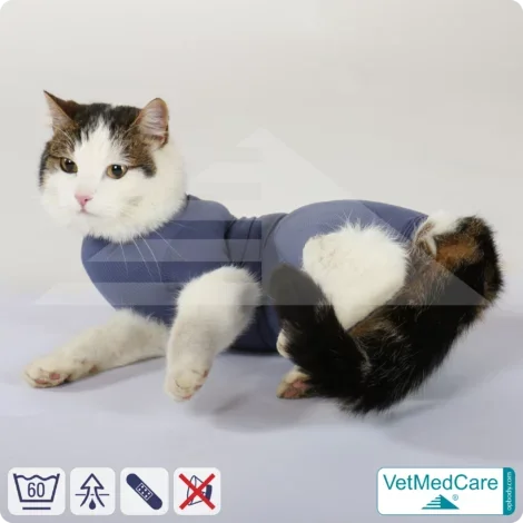 Katzenbody + Wundschutz speziell für Katzen entwickelt | VetMedCare® Cat Bodysuit