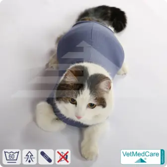 Cat bodysuit | recovery suit + wound protection specially developed for cats | VetMedCare® 14 Cat Bodysuit | Cat body + wound protection specially developed for cats | VetMedCare®