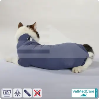 Cat bodysuit | recovery suit + wound protection specially developed for cats | VetMedCare® 19 Cat Bodysuit | Cat body + wound protection specially developed for cats | VetMedCare®