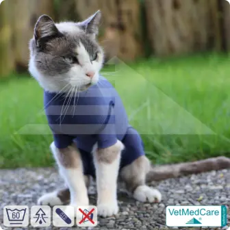 Cat bodysuit | recovery suit + wound protection specially developed for cats | VetMedCare® 12 Cat Bodysuit | Cat body + wound protection specially developed for cats | VetMedCare®