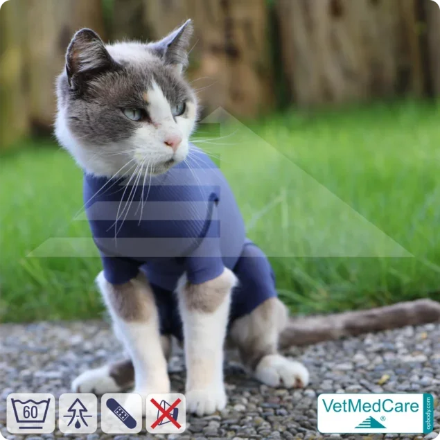Katzenbody + Wundschutz speziell für Katzen entwickelt | VetMedCare® Cat Bodysuit