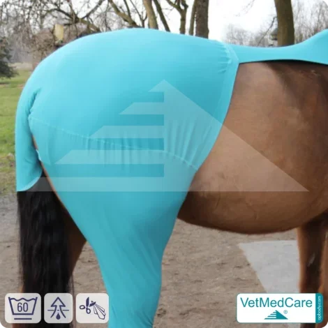 Pferde Wundschutz / Beinschutz für die Beine - Hinterlauf | links und rechts passend | VetMedCare®
