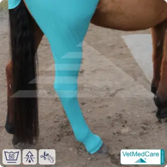 Horse wound protection / leg protection for the horse legs - hind leg | left and right fitting | VetMedCare® 8 Horse wound protection / leg protection for the horse legs - hind leg | left and right fitting | VetMedCare®