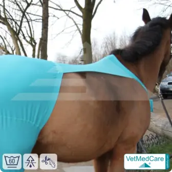 Horse wound protection / leg protection for the horse legs - hind leg | left and right fitting | VetMedCare® 9 Horse wound protection / leg protection for the horse legs - hind leg | left and right fitting | VetMedCare®