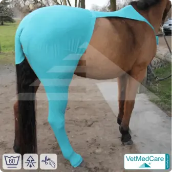 Horse wound protection / leg protection for the horse legs - hind leg | left and right fitting | VetMedCare®