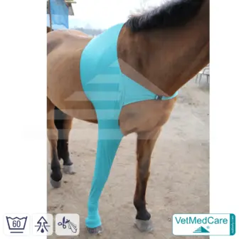 Horse wound protection / leg protection for the horse legs - foreleg | left and right fitting | VetMedCare® 8 Horse wound protection / leg protection for the horse legs - foreleg | left and right fitting | VetMedCare®