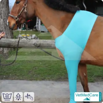 Horse wound protection / leg protection for the horse legs - foreleg | left and right fitting | VetMedCare® 9 Horse wound protection / leg protection for the horse legs - foreleg | left and right fitting | VetMedCare®
