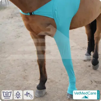 Horse wound protection / leg protection for the horse legs - foreleg | left and right fitting | VetMedCare® 7 Horse wound protection / leg protection for the horse legs - foreleg | left and right fitting | VetMedCare®