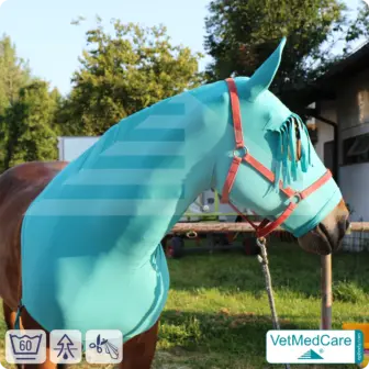 Horse Sleazy, Stretch Rug, Hood Protection Bonnet - fly, mosquito, insect protection of head, ears and neck - with forehead fringes | VetMedCare® 8 Stretch Rug, Horse Hood Protection Bonnet - fly, mosquito, insect protection of head, ears and neck - with forehead fringes | VetMedCare®