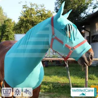Stretch Rug, Horse Hood Protection Bonnet - fly, mosquito, insect protection of head, ears and neck - with forehead fringes | VetMedCare®