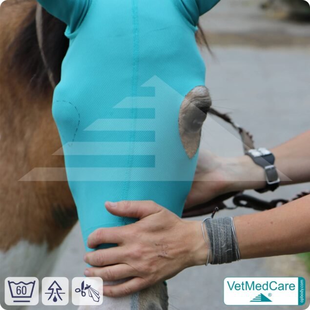Pferde Kopfmaske | Schutz für Augen, Kopf und Ohren - ohne Augenausschnitt | Horse Head-Ear Protector | VetMedCare®