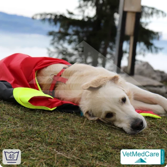 Hunde Safety Bag mit extrem isolierender, integrierter Hundedecke | wie ein Hundebett mit Schutz vor Wind, Kälte und Nässe | VetMedCare®