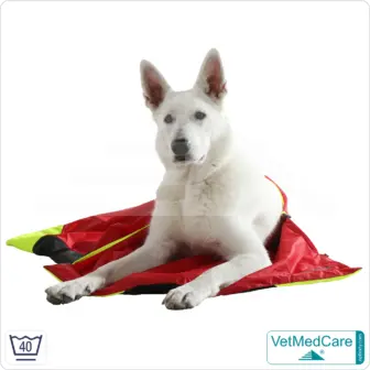 Dog Safety Bag with extremely insulating, integrated dog blanket | like a dog bed with protection against wind, cold and wetness | VetMedCare®