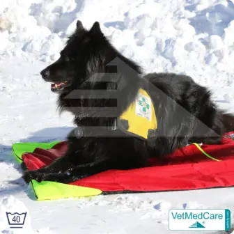Dog Safety Bag with extremely insulating, integrated dog blanket | like a dog bed with protection against wind, cold and wetness | VetMedCare® 10 Dog Safety Bag with extremely insulating, integrated dog blanket | like a dog bed with protection against wind, cold and wetness | VetMedCare®
