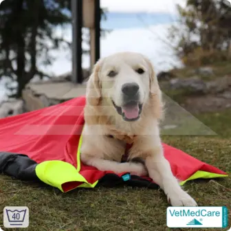 Dog Safety Bag with extremely insulating, integrated dog blanket | like a dog bed with protection against wind, cold and wetness | VetMedCare® 15 Dog Safety Bag with extremely insulating, integrated dog blanket | like a dog bed with protection against wind, cold and wetness | VetMedCare®