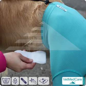 Dog Safety Pants / nappies | for dogs / bitches in heat, menstruation and incontinence | VetMedCare® 15 Dog Safety Pants / nappies | for dogs / bitches in heat, menstruation and incontinence | VetMedCare®
