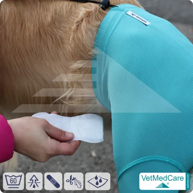 Hunde Sicherheitshosen + Hundewindeln | Dog Safety Pants bei Läufigkeit, Menstruation und Inkontinenz | VetMedCare®