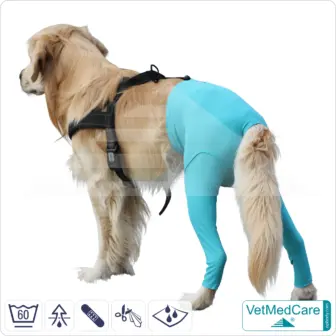 Dog Safety Pants / nappies | for dogs / bitches in heat, menstruation and incontinence | VetMedCare® 2 Dog Safety Pants / nappies | for dogs / bitches in heat, menstruation and incontinence | VetMedCare®