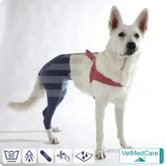 Dog Safety Pants / nappies | for dogs / bitches in heat, menstruation and incontinence | VetMedCare® 13 Dog Safety Pants / nappies | for dogs / bitches in heat, menstruation and incontinence | VetMedCare®