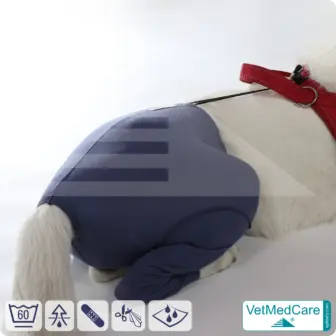 Dog Safety Pants / nappies | for dogs / bitches in heat, menstruation and incontinence | VetMedCare® 17 Dog Safety Pants / nappies | for dogs / bitches in heat, menstruation and incontinence | VetMedCare®