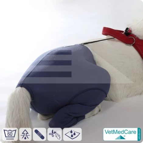 Dog Safety Pants / nappies | for dogs / bitches in heat, menstruation and incontinence | VetMedCare® 17 Dog Safety Pants / nappies | for dogs / bitches in heat, menstruation and incontinence | VetMedCare®