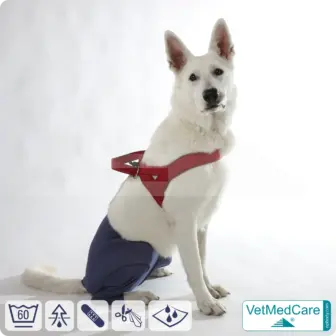 Dog Safety Pants / nappies | for dogs / bitches in heat, menstruation and incontinence | VetMedCare® 21 Dog Safety Pants / nappies | for dogs / bitches in heat, menstruation and incontinence | VetMedCare®