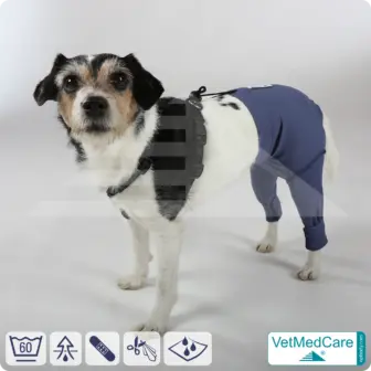 Dog Safety Pants / nappies | for dogs / bitches in heat, menstruation and incontinence | VetMedCare® 20 Dog Safety Pants / nappies | for dogs / bitches in heat, menstruation and incontinence | VetMedCare®