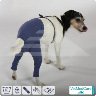Dog Safety Pants / nappies | for dogs / bitches in heat, menstruation and incontinence | VetMedCare® 14 Dog Safety Pants / nappies | for dogs / bitches in heat, menstruation and incontinence | VetMedCare®