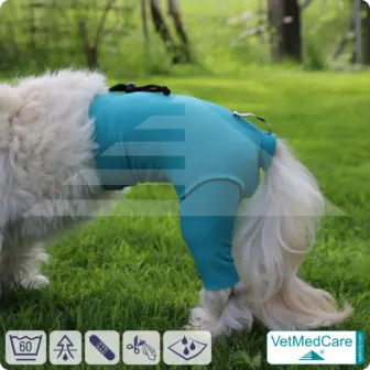 Dog Safety Pants / nappies | for dogs / bitches in heat, menstruation and incontinence | VetMedCare® 19 Dog Safety Pants / nappies | for dogs / bitches in heat, menstruation and incontinence | VetMedCare®
