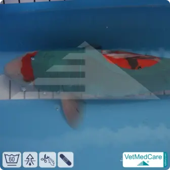 Safety Tubes DIY | like gauze bandages, bandages and plasters in one | protection stockings for pets like hamsters, rabbits and small animals | VetMedCare® 20 Safety Tubes DIY | like gauze bandages, bandages and plasters in one | protection stockings for pets like hamsters, rabbits and small animals | VetMedCare®