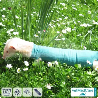 Safety Tubes DIY | like gauze bandages, bandages and plasters in one | protection stockings for pets like hamsters, rabbits and small animals | VetMedCare® 14 Safety Tubes DIY | like gauze bandages, bandages and plasters in one | protection stockings for pets like hamsters, rabbits and small animals | VetMedCare®