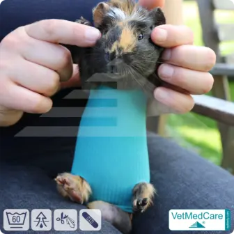 Safety Tubes DIY | like gauze bandages, bandages and plasters in one | protection stockings for pets like hamsters, rabbits and small animals | VetMedCare® 19 Safety Tubes DIY | like gauze bandages, bandages and plasters in one | protection stockings for pets like hamsters, rabbits and small animals | VetMedCare®