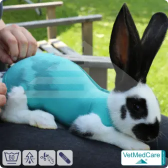 Safety Tubes DIY | like gauze bandages, bandages and plasters in one | protection stockings for pets like hamsters, rabbits and small animals | VetMedCare® 1 Safety Tubes DIY | like gauze bandages, bandages and plasters in one | protection stockings for pets like hamsters, rabbits and small animals | VetMedCare®