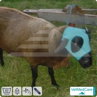 Safety Tubes DIY | like gauze bandages, bandages and plasters in one | protection stockings for pets like hamsters, rabbits and small animals | VetMedCare® 18 Safety Tubes DIY | like gauze bandages, bandages and plasters in one | protection stockings for pets like hamsters, rabbits and small animals | VetMedCare®