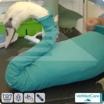 Safety Tubes DIY | like gauze bandages, bandages and plasters in one | protection stockings for pets like hamsters, rabbits and small animals | VetMedCare® 16 Safety Tubes DIY | like gauze bandages, bandages and plasters in one | protection stockings for pets like hamsters, rabbits and small animals | VetMedCare®