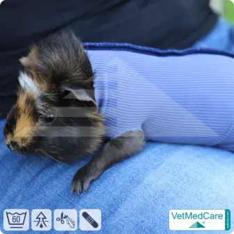 Safety Tubes DIY | like gauze bandages, bandages and plasters in one | protection stockings for pets like hamsters, rabbits and small animals | VetMedCare®