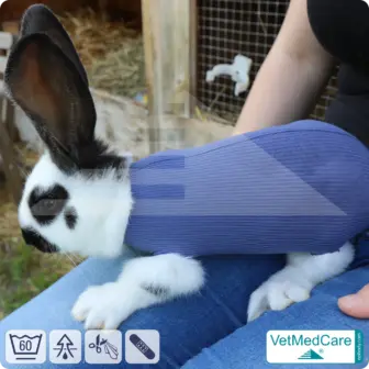 Safety Tubes DIY | like gauze bandages, bandages and plasters in one | protection stockings for pets like hamsters, rabbits and small animals | VetMedCare® 17 Safety Tubes DIY | like gauze bandages, bandages and plasters in one | protection stockings for pets like hamsters, rabbits and small animals | VetMedCare®