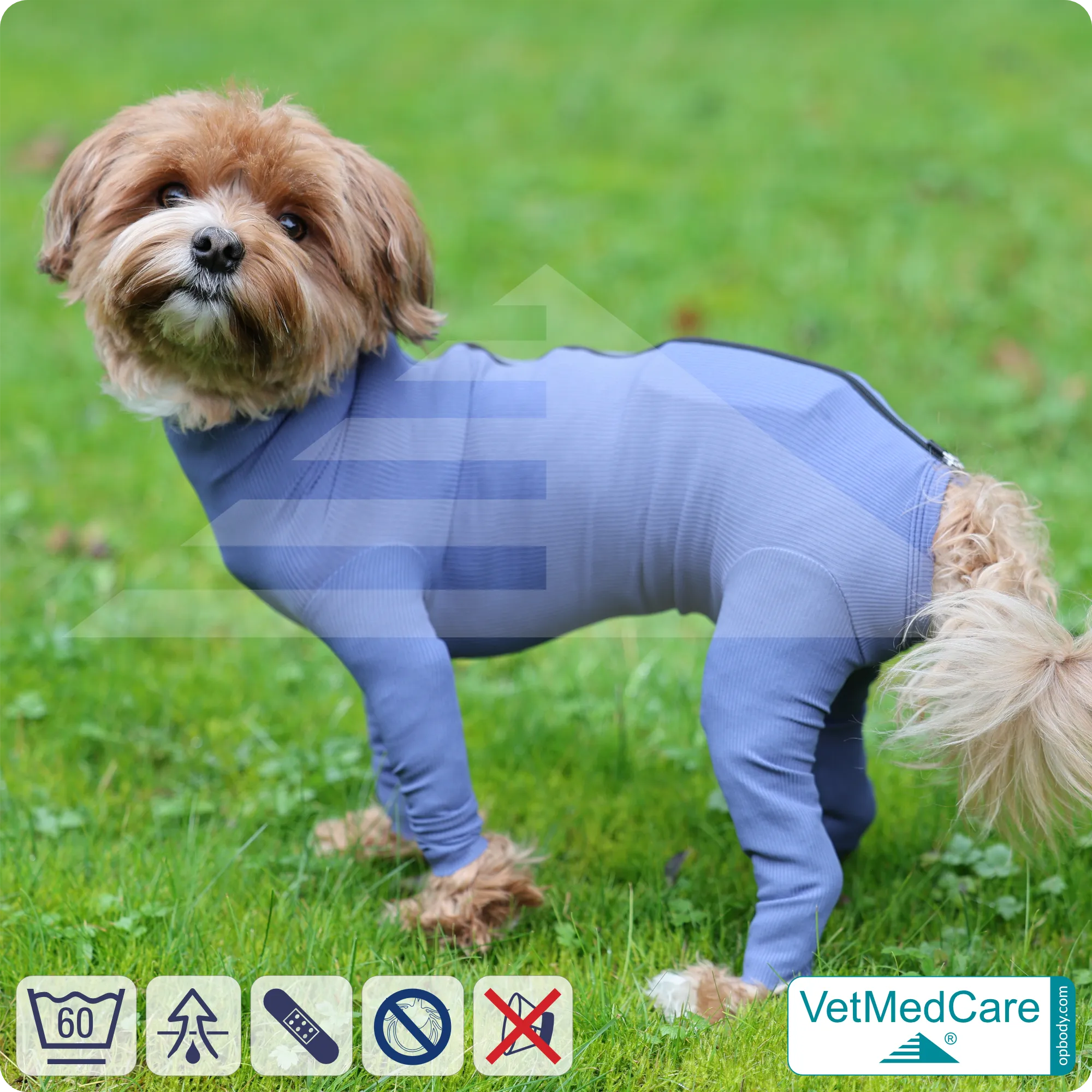 Dog bodysuit | pet shirt with legs + zipper | dog full body medical pet coat / jacket / recovery vest | VetMedCare® 4 Dog bodysuit with zipper blue | VetMedCare
