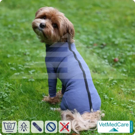 Dog bodysuit | pet shirt with legs + zipper | dog full body medical pet coat / jacket / recovery vest | VetMedCare® 15 Dog bodysuit with zipper blue | VetMedCare