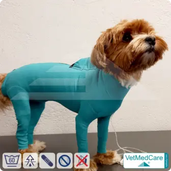 Dog system bodysuit with legs + zip + additional function bag | Dog body - full body body with 4 legs | VetMedCare® 14 Dog system bodysuit with legs + zip + additional function | Dog bodysuit - full body bodysuit with 4 legs | VetMedCare®