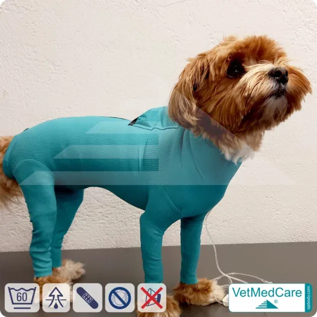 Hund System Body mit Beinen + Reißverschluss + Zusatzfunktion | Hund Body - Ganzkörperbody mit 4 Beinen | VetMedCare®