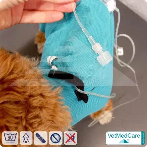 Hund System Body mit Beinen + Reißverschluss + Zusatzfunktion | Hund Body - Ganzkörperbody mit 4 Beinen | VetMedCare®