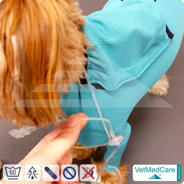 Hund System Body mit Beinen + Reißverschluss + Zusatzfunktion | Hund Body - Ganzkörperbody mit 4 Beinen | VetMedCare®