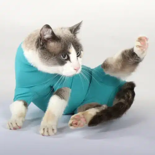 VetMedCare Cat Category
