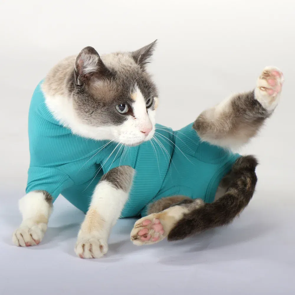 VetMedCare Katze Kategorie