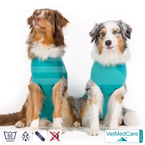 Dog Recovery Suit "Comfort" - UNISEX: The Professional Post-Operative Alternative to the Elizabethan Collar | VetMedCare®